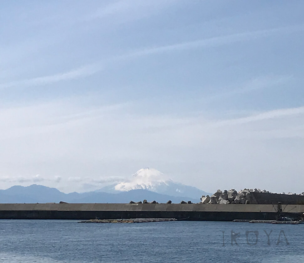 富士山が見える。夏以外でも楽しめる『海』に関する遊び