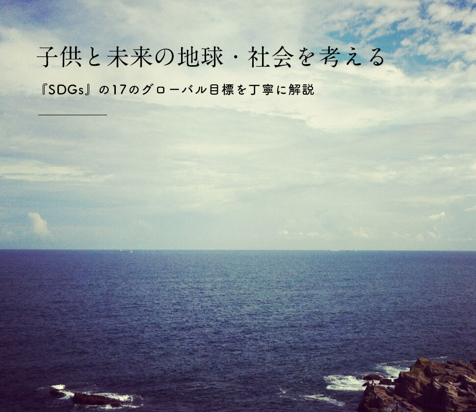 将来の夢は学者 空 を飛ぶ生き物や自然現象を学び遊ぶ人気のおもちゃ 絵本 図鑑