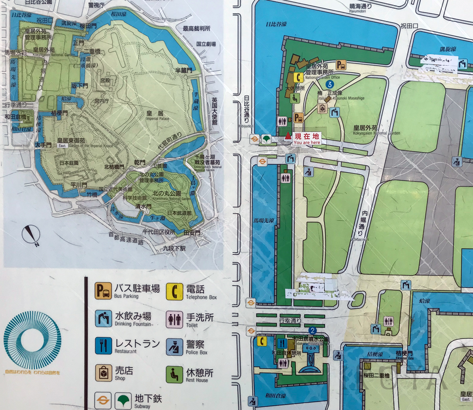 東京都心部にある植物の楽園 こどもと江戸城の歴史も一緒に学べる皇居外苑 東御苑 国民公園