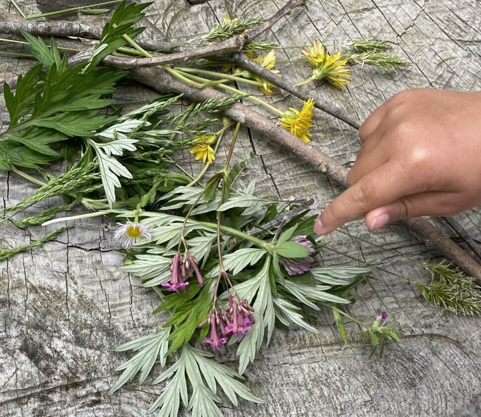 集めた草花を指さして「これがすき」と教えてくれました