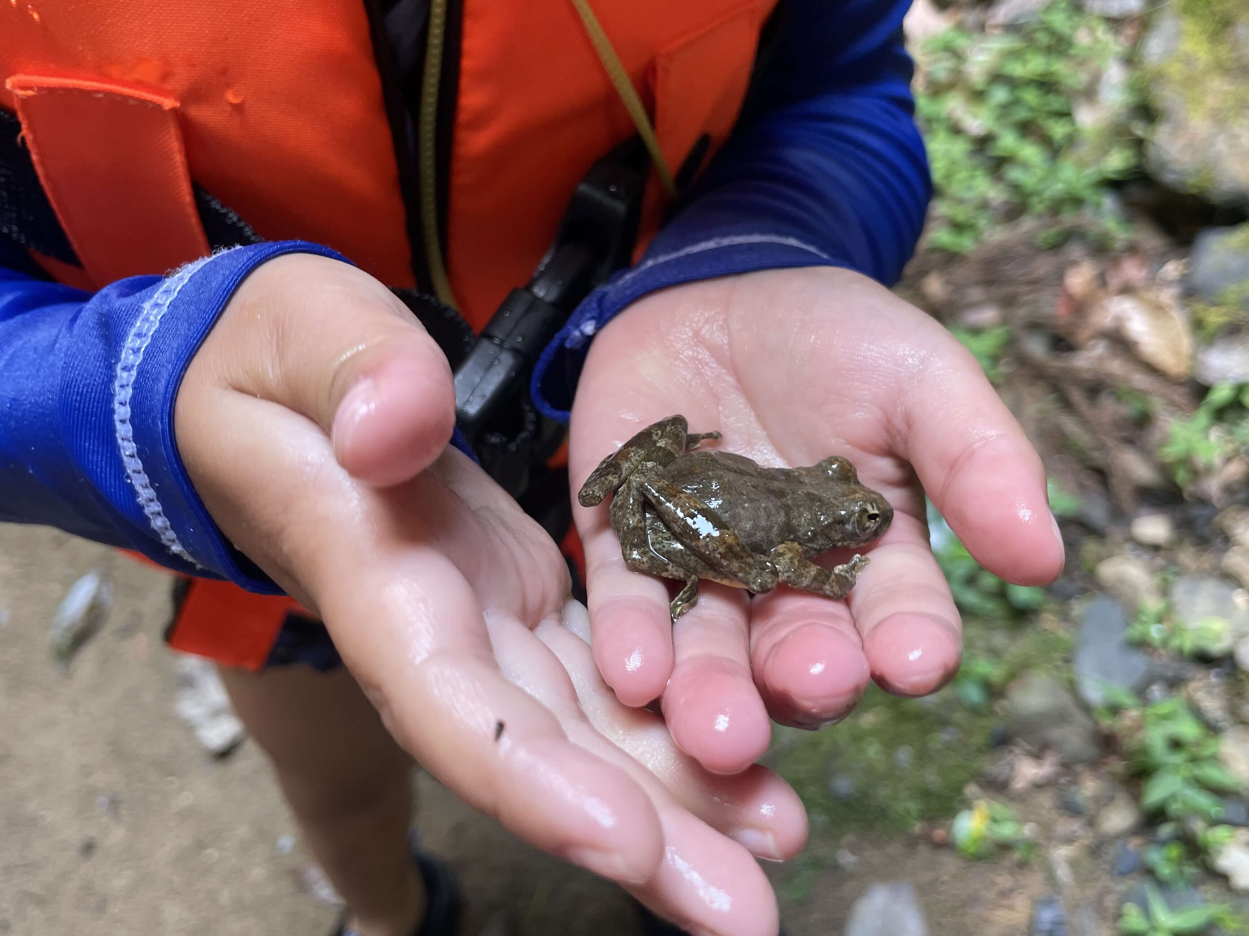 小さな生き物との出会いは親子の大切な思い出になります