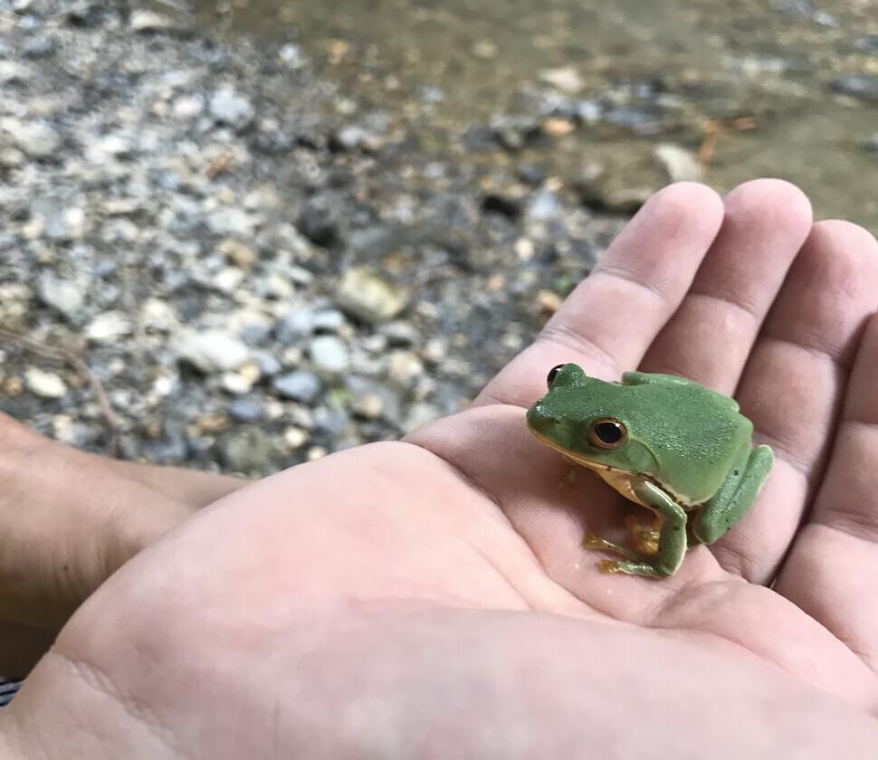 小さな生き物との出会いは親子の大切な思い出になります