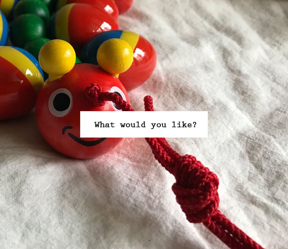 【専門家がおすすめ・選び方を解説】人気の『プルトイ』おもちゃを徹底比較