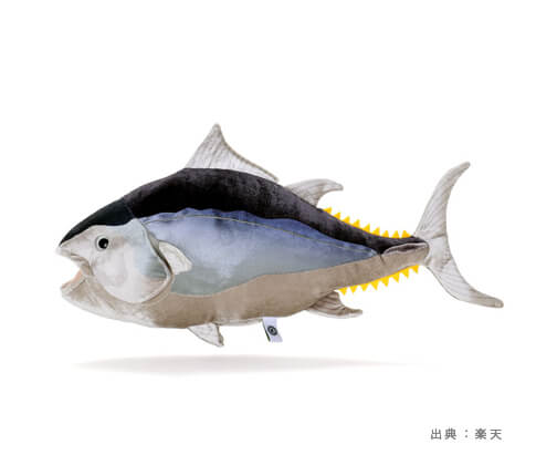 布製の『魚』のおもちゃの参考画像（１）
