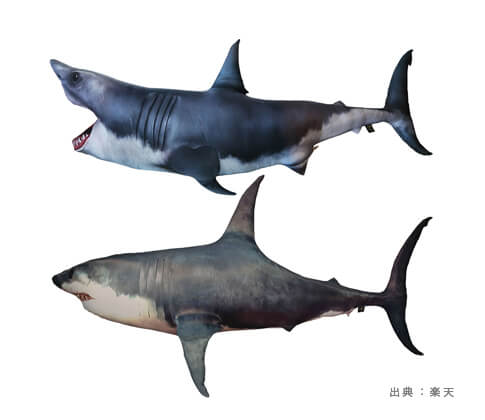 大きい『魚・水族館で見られる海洋生物』のおもちゃの参考画像（３）