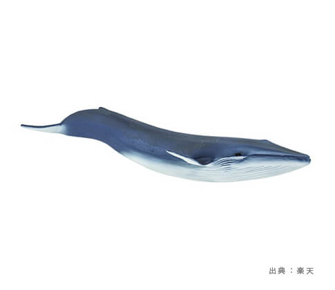 人気の『クジラ』おもちゃ・ぬいぐるみ・フィギュアの参考画像（１）