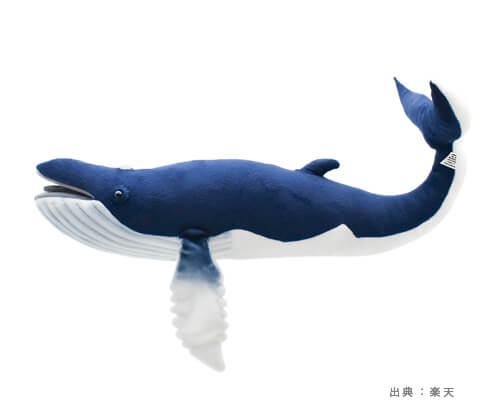 人気の『クジラ』おもちゃ・ぬいぐるみ・フィギュアの参考画像（３）