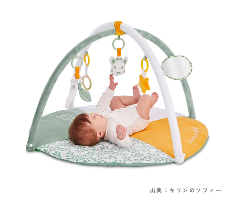 マイルストーンベビージム（t-010410）