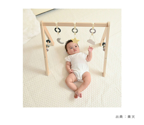 よぞらの木製プレイジム