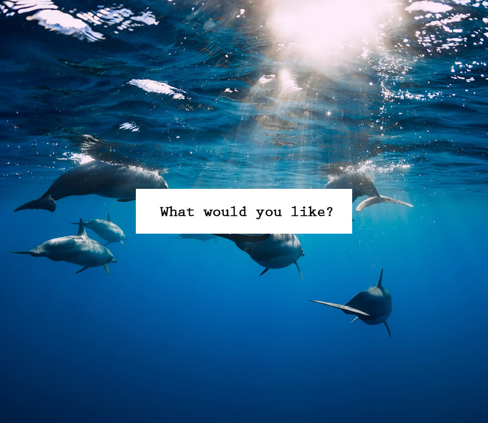 【専門家がおすすめ・選び方を解説】人気の『魚・釣り』おもちゃを徹底比較