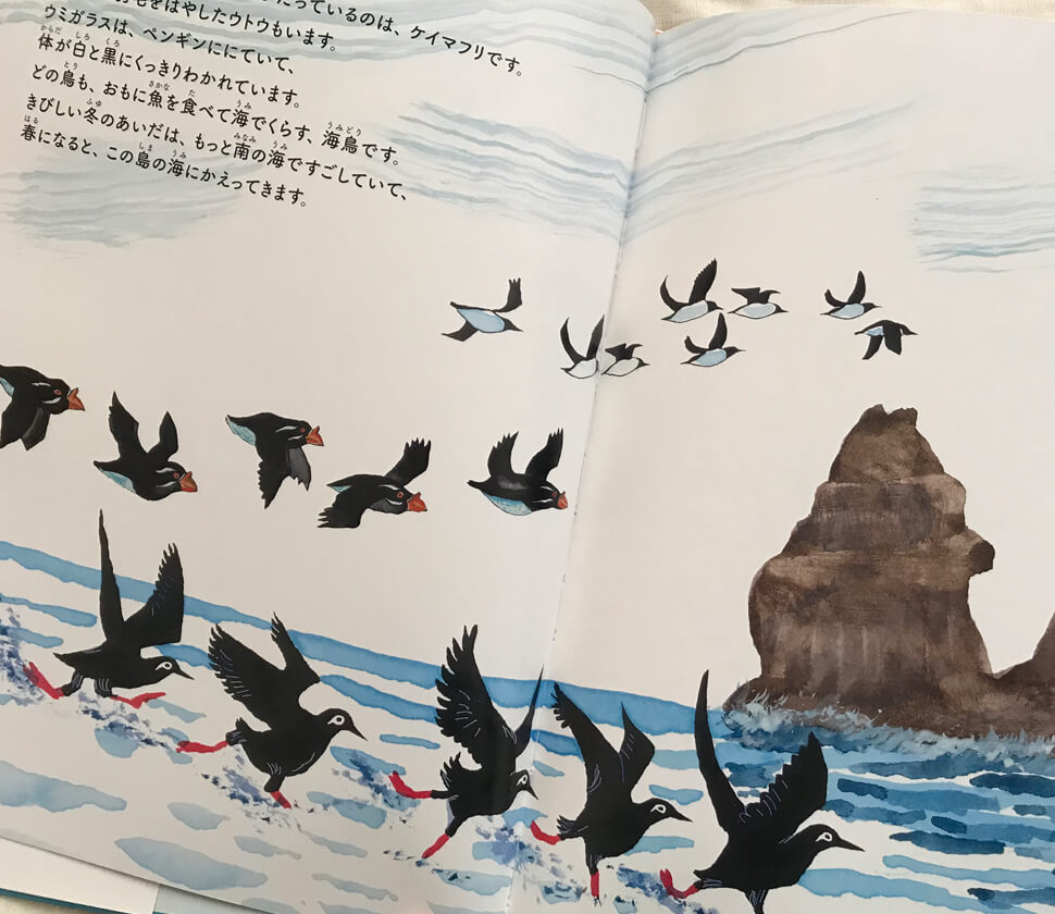 海鳥の生態に詳しくなる科学絵本