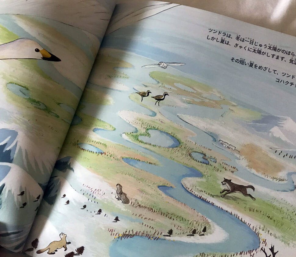 日本を中心に移動する、渡り鳥の旅