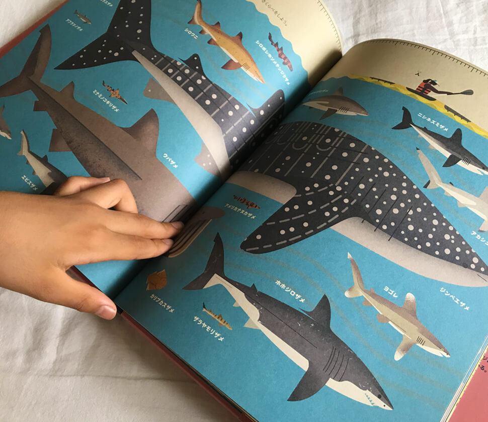 サメの図鑑